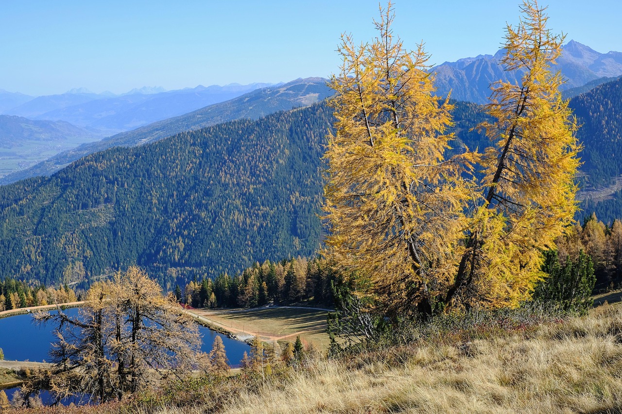 Nature - free online jigsaw puzzle photo