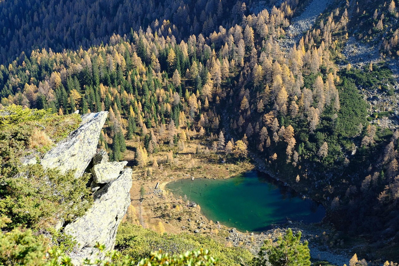 Nature - free online jigsaw puzzle photo