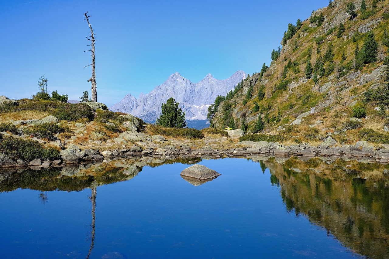 Nature - free online jigsaw puzzle photo