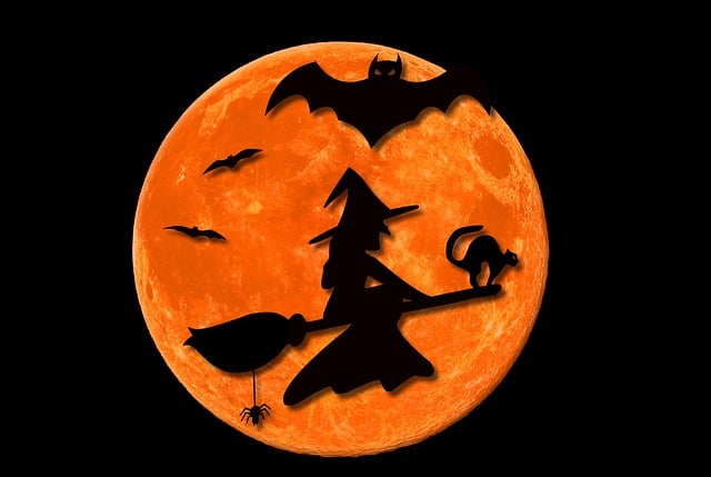 Halloween, Mond, Hexe, Silhouette