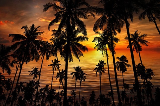 Urlaub, Tropisch, Natur, Meer, Paradies