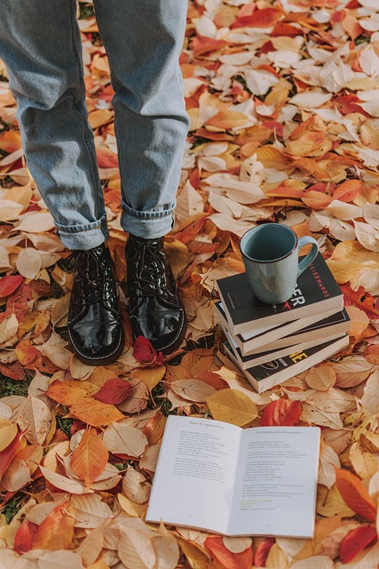 Free Fall Leaves photo and picture
