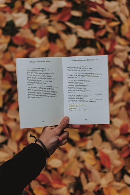 Free Fall Leaves photo and picture