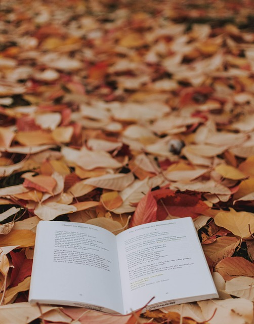 Free Fall Leaves photo and picture