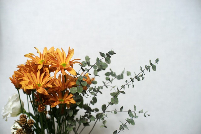 Free Flower Nature photo and picture