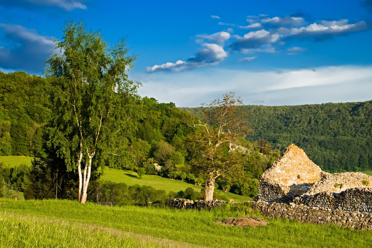 Blue - free online jigsaw puzzle photo