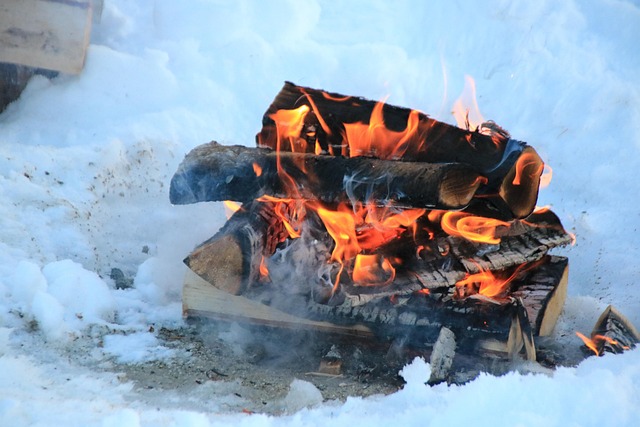 Free Campfire Flames photo and picture