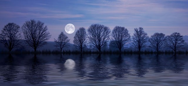 Free full moon reflection water illustration
