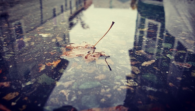 Download free HD stock image of Sheet Water Free Sheet Water photo and picture