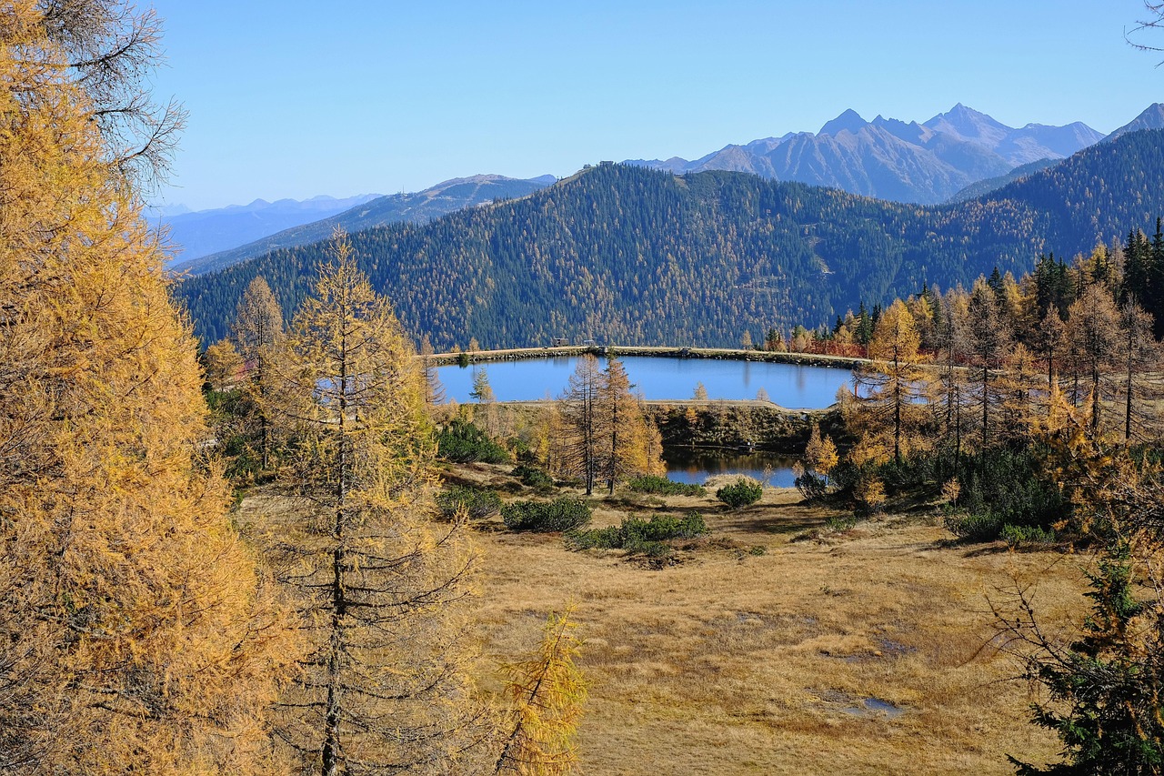 Nature - free online jigsaw puzzle photo