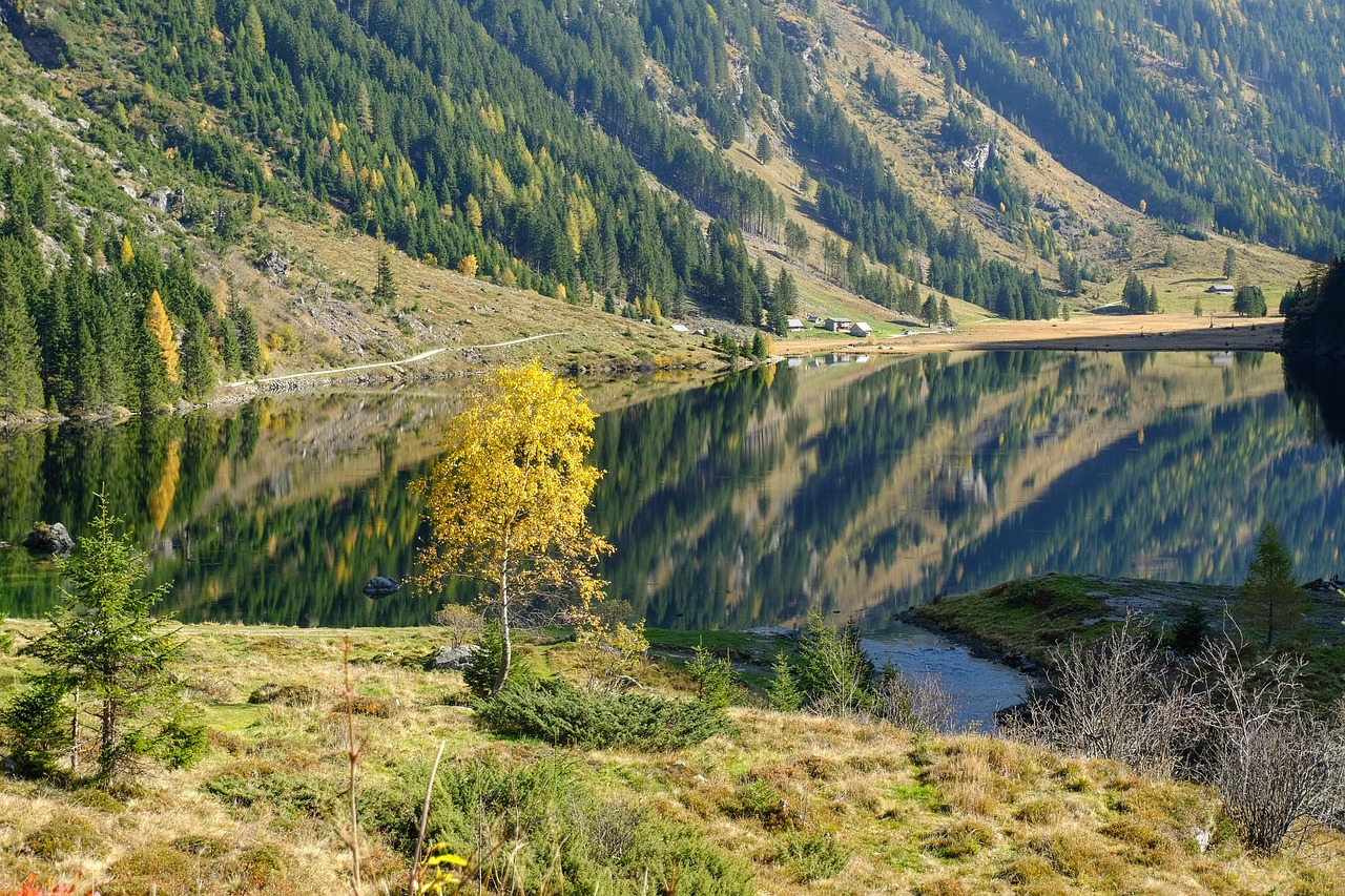 Nature - free online jigsaw puzzle photo
