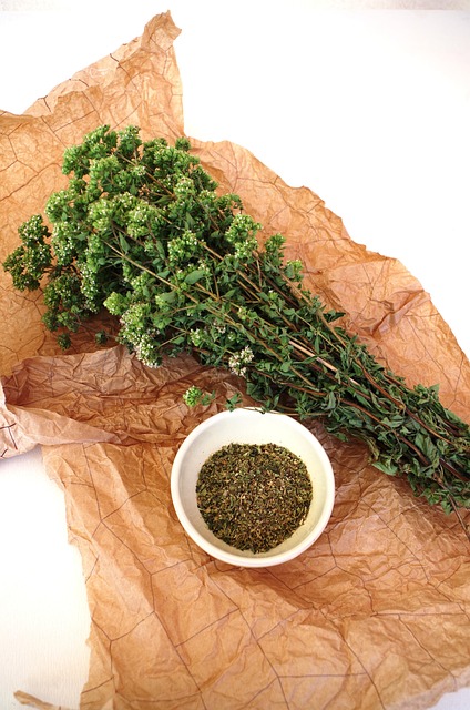 Free Origan Plant photo and picture