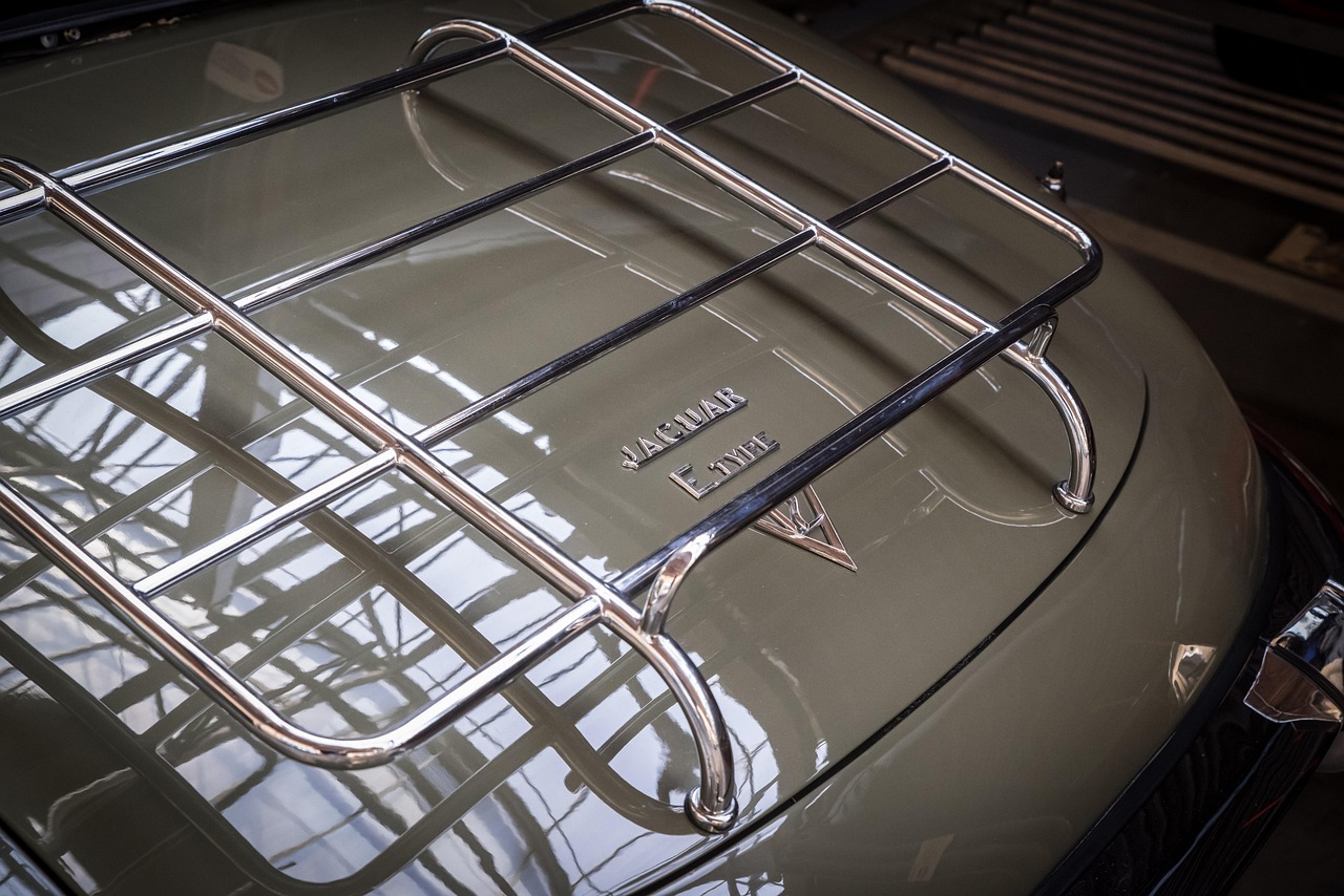 Jaguar - free online jigsaw puzzle photo