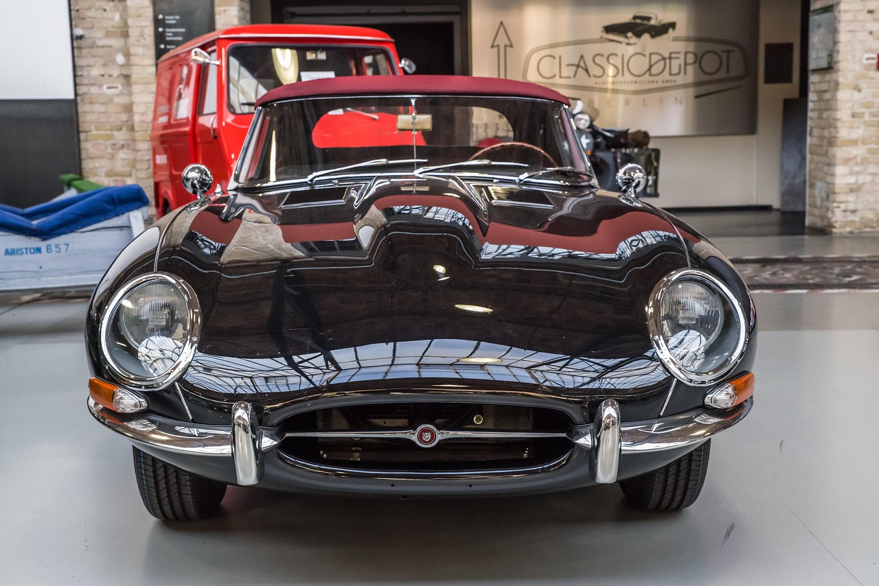 Jaguar - free online jigsaw puzzle photo