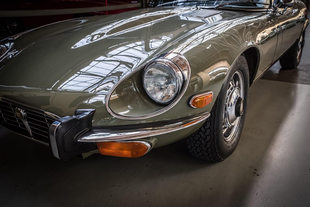 Jaguar - free online jigsaw puzzle photo