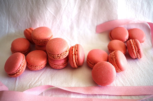Free Macaron Pink photo and picture
