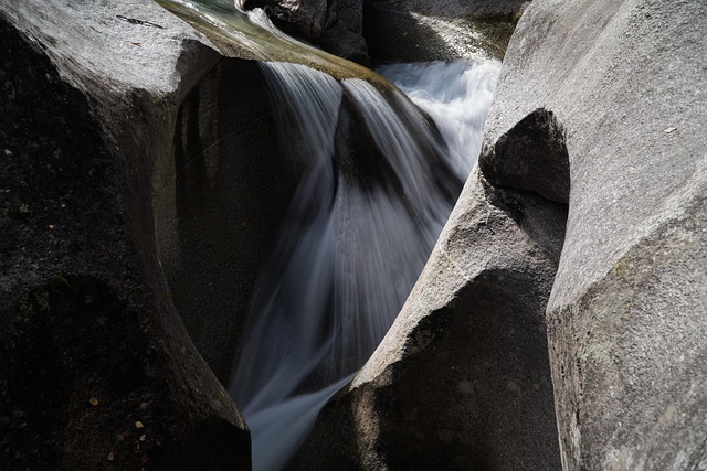 Free Water Bach photo and picture