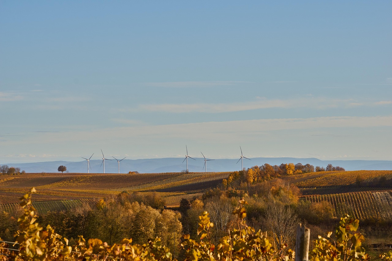 Windmill - free online jigsaw puzzle photo