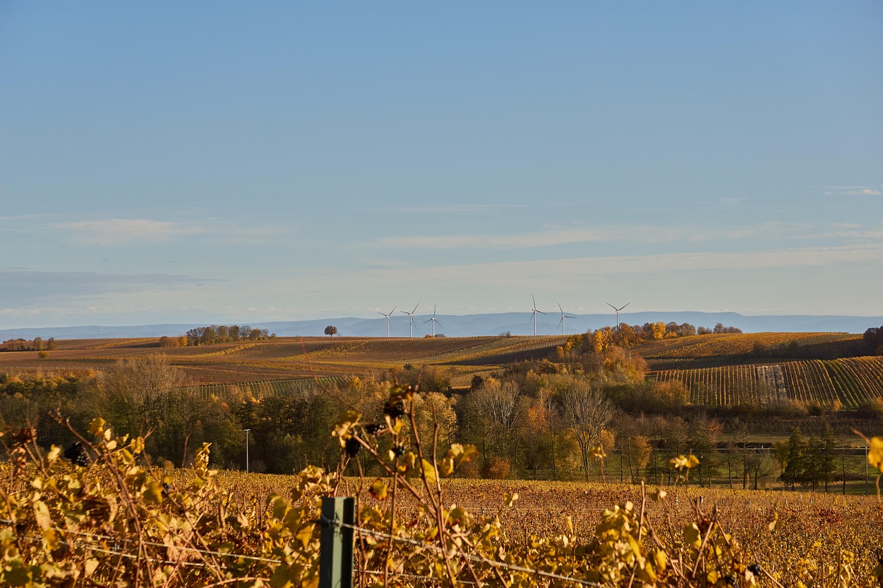 Windmill - free online jigsaw puzzle photo