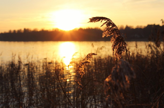 Free Lake Sunset photo and picture