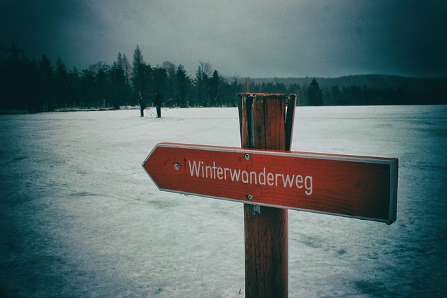Free Winter Snow photo and picture