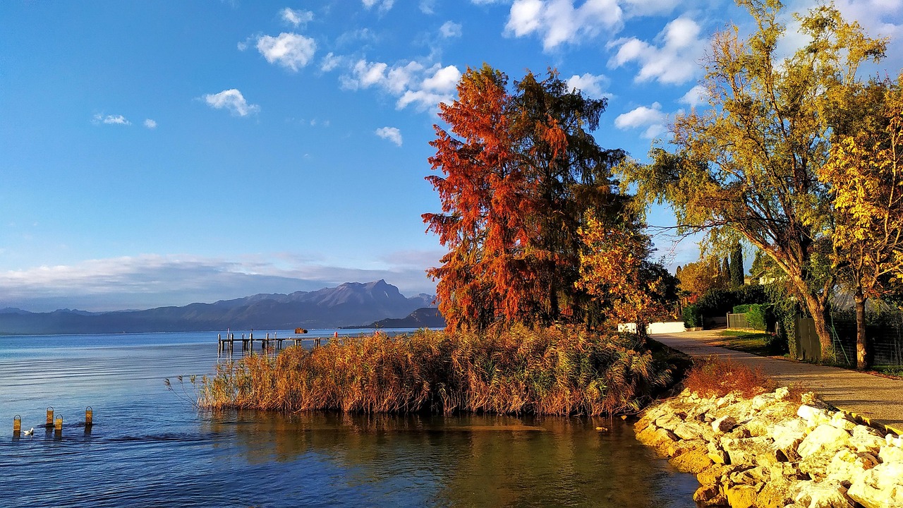 Autumn - free online jigsaw puzzle photo