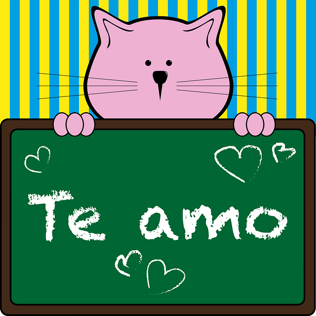 Free cat little cat tender vector