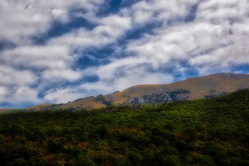 Wolken, Wetter, Bäume, Wald, Himmel