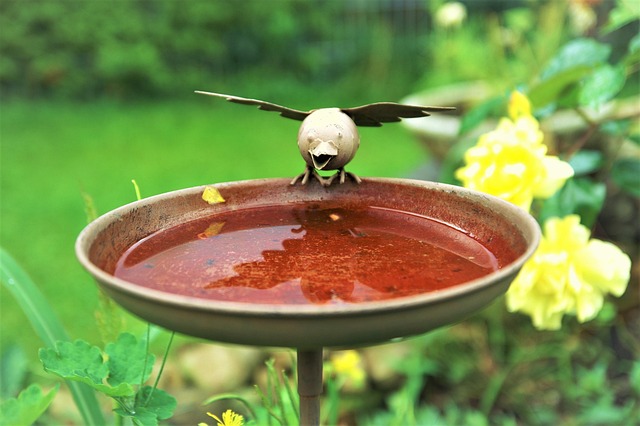 Free Bird Easter photo and picture