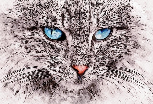 Free cat nature animal illustration