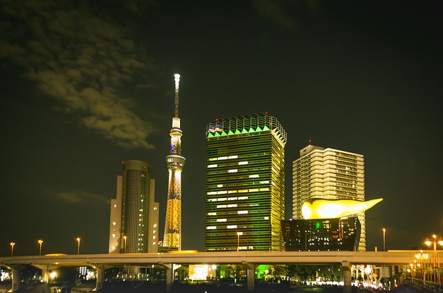 Free Tokyo Sky Tree Tokyo Sightseeing photo and picture