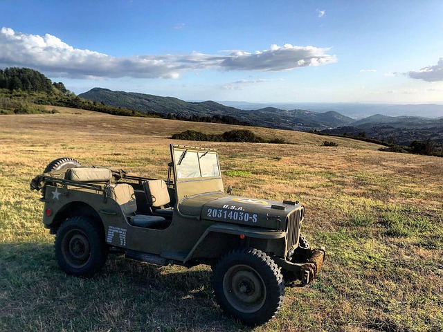 Free Willys Jeep photo and picture