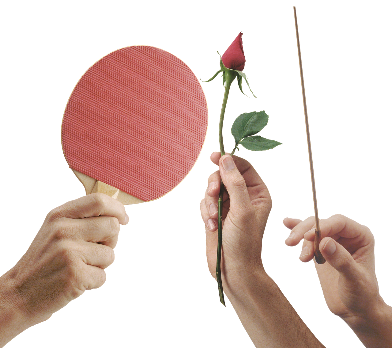 Picture Pags Hand Hands Hand Palm - Free photo on Pixabay - Pixabay