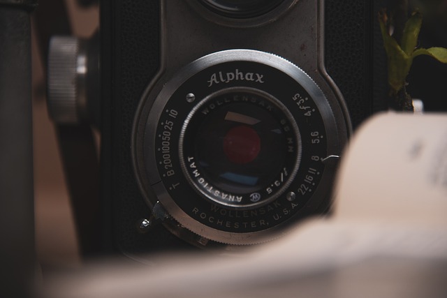 Free Vintage Camera photo and picture