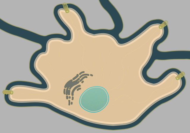 Free connectedbio melanocyte white cell illustration