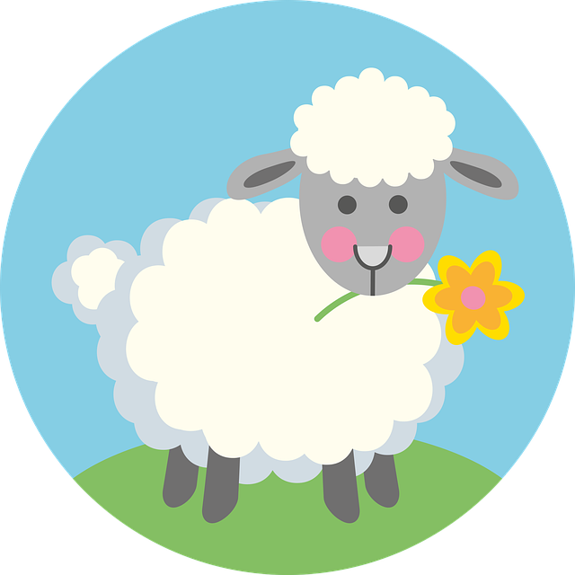 Oster-Lamm, Lamm, Ostern, Die Schafe