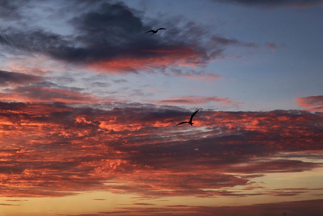 Free Sunrise Sun photo and picture
