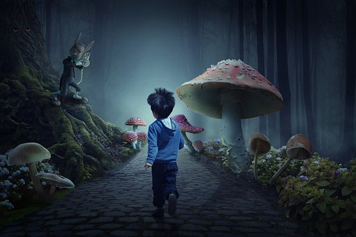 Free Fairytale Forest Wonderland photo and picture