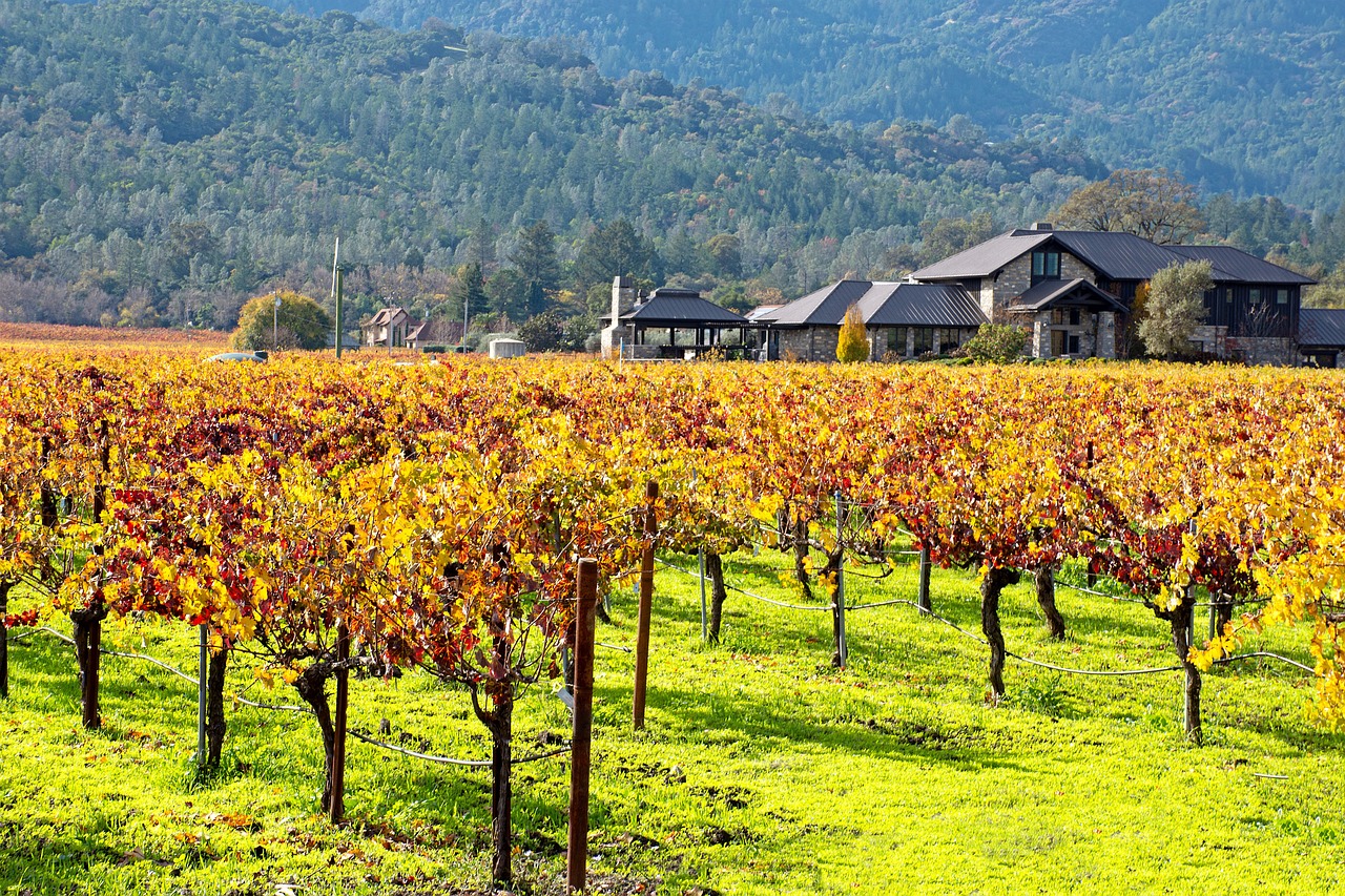 10,000+ Free Napa Valley & Valley Images - Pixabay