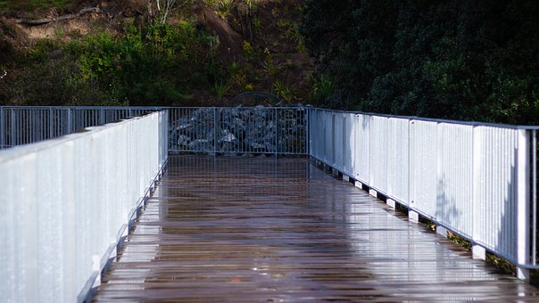 Free Bridge Pathway photo and picture