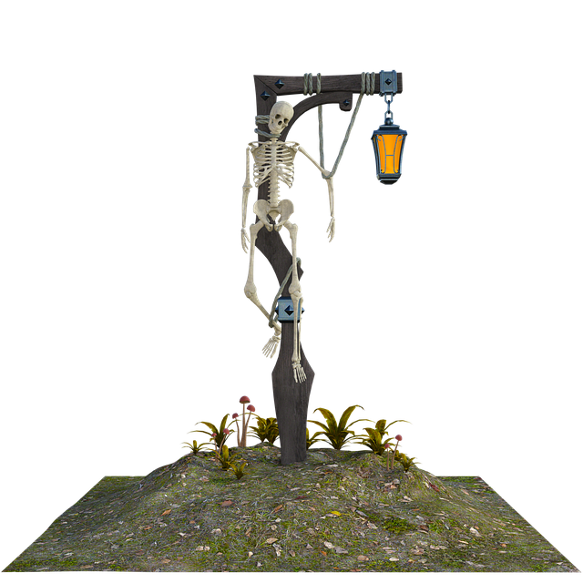 Free skeleton lantern halloween illustration