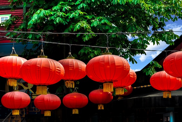 Free Replacement Lamp Chinese photo and picture