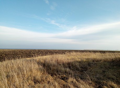 Free Field Black Earth photo and picture