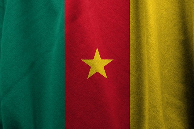Shirtinstyle Baumwoll-Einkaufstasche Mit Kamerun Flagge – 100% Baumwolle, 35x39 Cm, 18 Liter