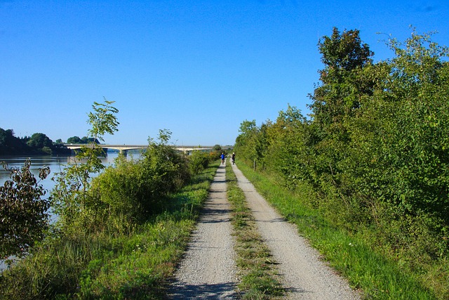 Free Path Road photo and picture