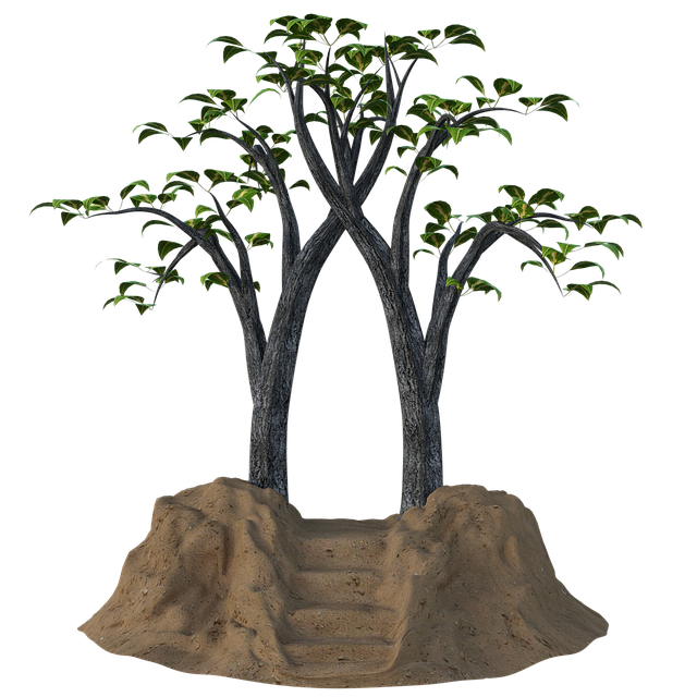 Free portal fantasy trees illustration