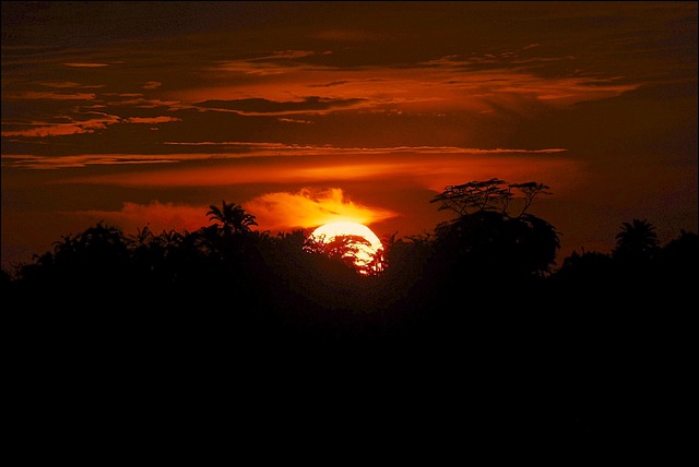 Free Africa Kenya photo and picture