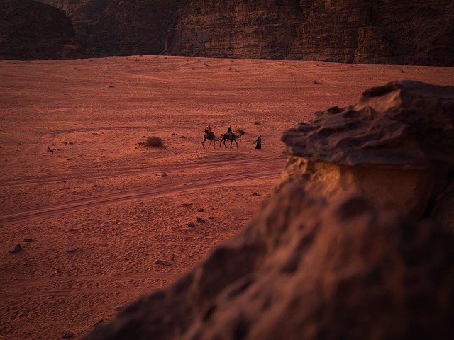 Kamel, Tiere, Wüste, Reisen, Sand