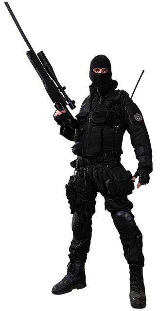 Free Gun Model illustration and picture
