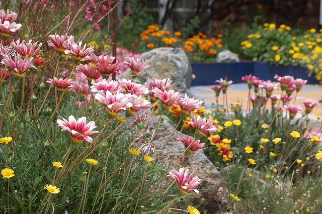 Free Flower Garden photo and picture